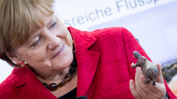 Merkel helyretette a menekültügyi bírálóit