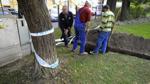 Emberi csontokat találtak a budapesti Hunyadi téren