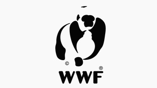 A WWF pandás logóban teknős és gorilla is megbújik