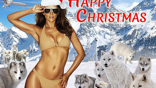 Elizabeth Hurley fenékstírölő farkasokat photoshoppolt magának