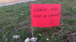 Lelkes önkéntesek zászlózták be a kutyaszart a pécsi kertvárosban