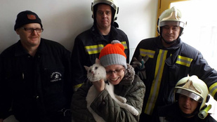 Ez a macska elég hálás lehet a dunaújvárosi tűzoltóknak