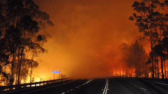 Menekültek oltják a tüzet Ausztráliában