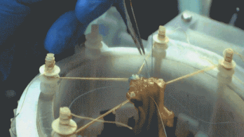 Sikeresen műtött meg egy robot egy lágyszövetet