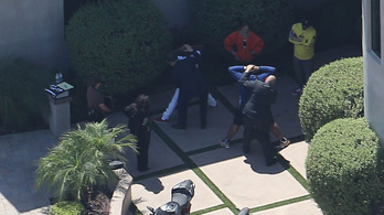 Őrizetbe vette a rendőrség Chris Brownt