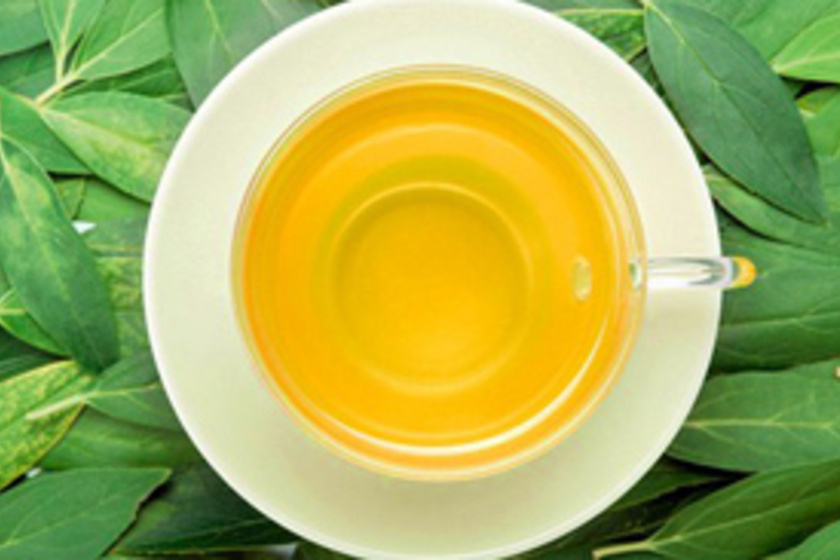 Lassítja az öregedést, ránctalanít és zsírégető: így fogyaszd a zöld teát