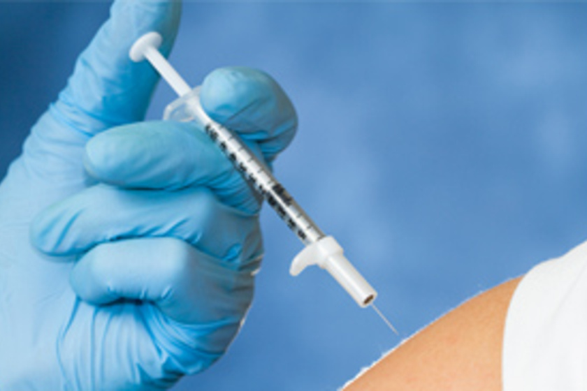 Júliusban sem késő beadatni a kullancs elleni védőoltást? - A szakértő elárulja