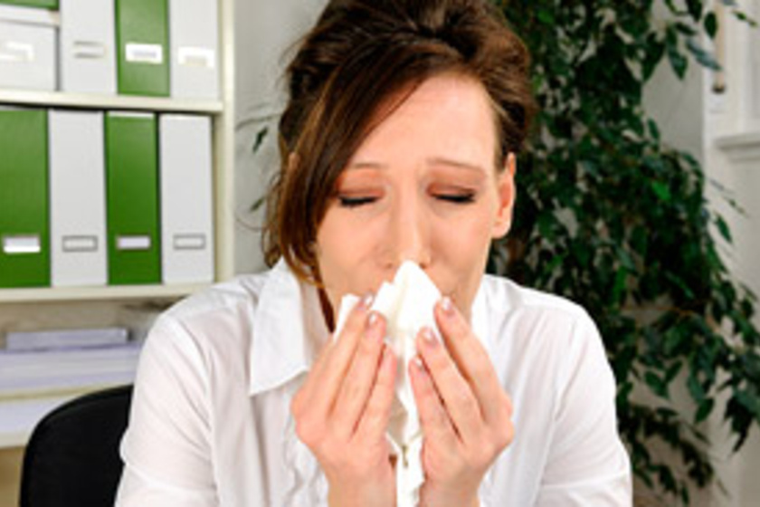 Orrmosás házilag: így végezd allergia és nátha ellen