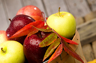 6 tipp, amivel felgyorsíthatod a fogyást ősszel