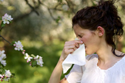 Tavaszi orrfolyás ellen: képeken a 8 legerősebb természetes allergiaűző 