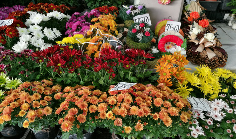 A boltok leverték a piacot temetői virágárakban