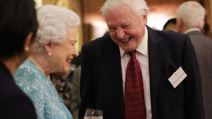 A nap képe - II. Erzsébet és Sir David Attenborough felhőtlen boldogsága