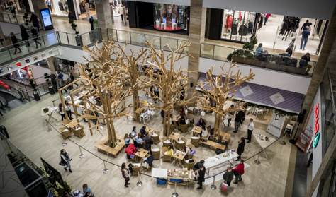 A Hello Wood erdőt növesztett a bevásárlóközpontban
