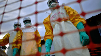 Az orvostudomány legyőzte az ebolát