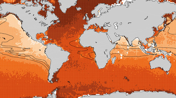 Fulladoznak a tengerek a klímaváltozás miatt