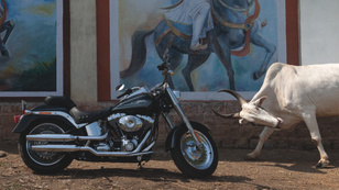 Harley: Made in India?