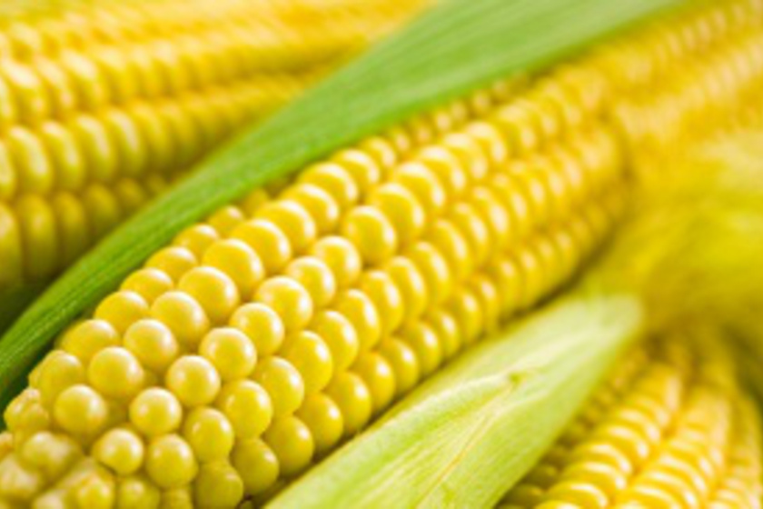 Szabad kukoricát enni a fogyókúra alatt? Meglepő, de a legtöbben nem tudják a választ