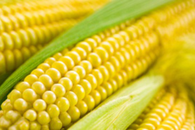 Szabad kukoricát enni a fogyókúra alatt? Meglepő, de a legtöbben nem tudják a választ