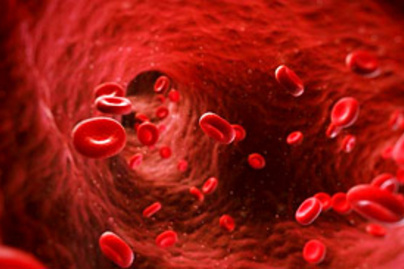 7 csodaszép fotó az emberi vérkeringésről