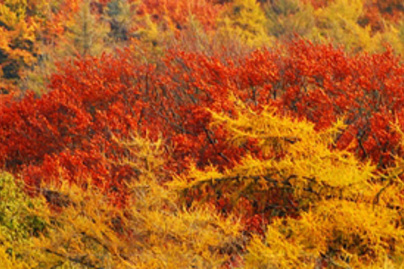 A világ 15 legszebb őszi tája