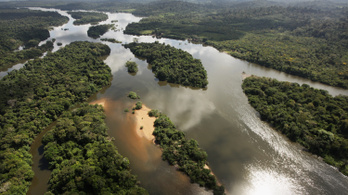 Megölheti a megújuló energia az Amazonast
