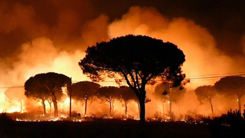Erdőtűz pusztít Spanyolország déli részén