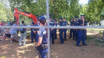 Hatalmas platánokat ásnak ki a Ligetben, a civilek ismét összecsaptak a rendőrökkel