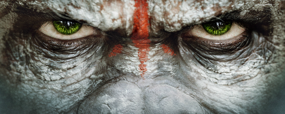 war-planet-apes-contest-video