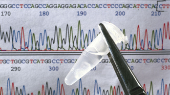 Úttörő módszerrel módosították emberi embriók DNS-ét kínai kutatók