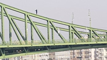 Felmászott egy ember a Szabadság hídra