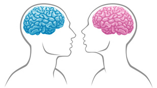 Csak mítosz, hogy a férfi és a női agy különbözik?