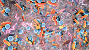 Megvan a rezisztens baktériumok titkos fegyvere
