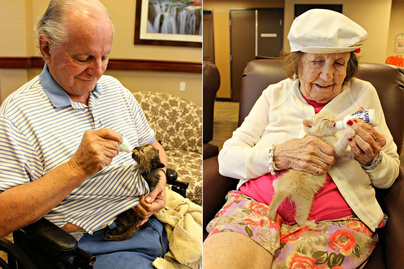Árva kiscicákat adtak a nyugdíjas otthon lakóinak - Szívmelengető fotókon a találkozás