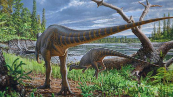 Folyóba fulladt dinoszauruszt azonosítottak Ausztráliában