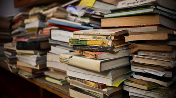 336 könyvet lopott el a vasi könyvtáros