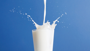 Nagy netes hiperteszt: akciós tejért túrtunk órákon át