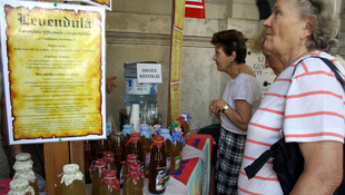 Csomagolt kenyér és mézeskalács - piac nyílt a Kossuth téren