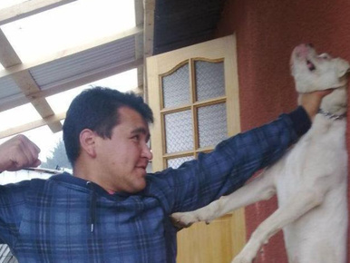 Chilei állatkínzót akarnak levadászni a magyar Facebookon
