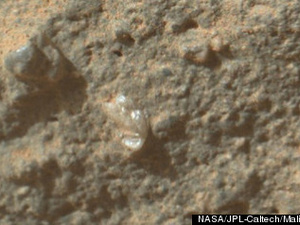 Marsvirágot fotózott a Curiosity
