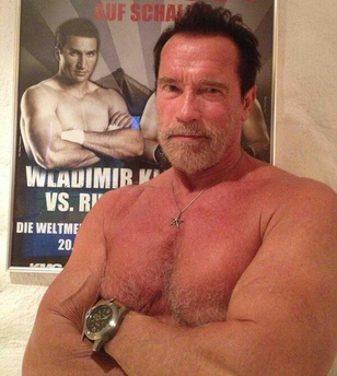 Klicskó és Schwarzenegger imádják egymás testét