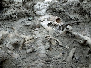 Ritka leleteket találtak a balatonudvari avar sírokban