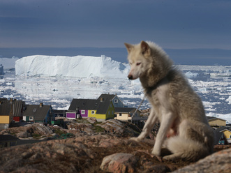 Grönland lantanida-nagyhatalom lehet