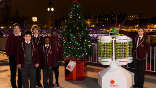 1000 kelbimbóval világít a környezetbarát karácsonyfa