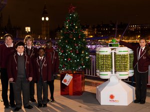 1000 kelbimbóval világít a környezetbarát karácsonyfa