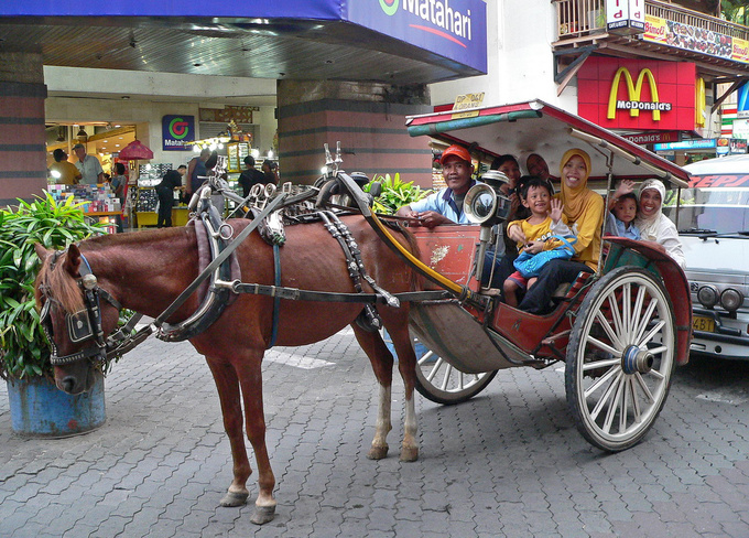 I wonder why horse drawn carriages are such a big deal from New York City through Vienna to Bali. I suppose it has to do with romanticism which apparently thrives even in the heaviest of traffic jams. This Muslim family certainly has a great time galloping in the Kuta rush hour. 