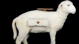 Tartaná az iratait egy kitömött bárányban?