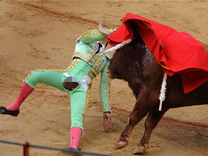 Hordágyon szállították el a viadalról a világ egyik leghíresebb matadorát