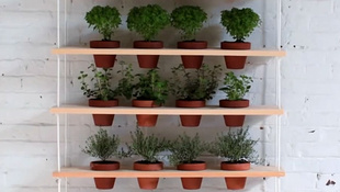 Hét DIY növénytároló, amivel feldobhatja a lakást