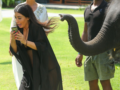 Kardashiant szelfizés közben elefánt zavarta meg