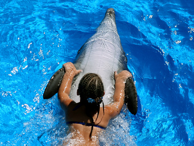 Kutatónő szexelt a delfinnel, amely sosem tanult meg angolul